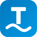 TypeFlow logo