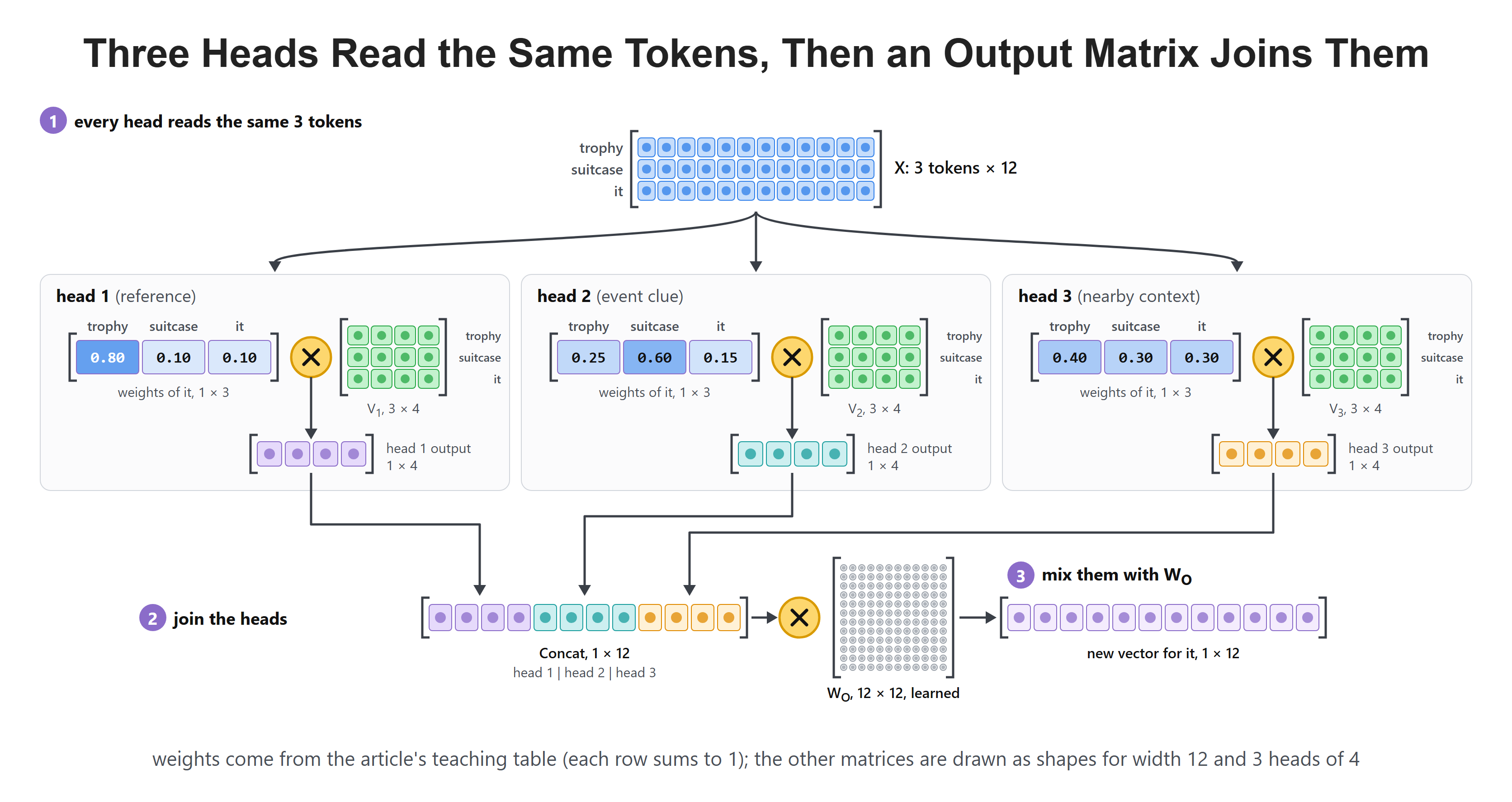Three Heads Read the Same Tokens, Then an Output Matrix Joins Them