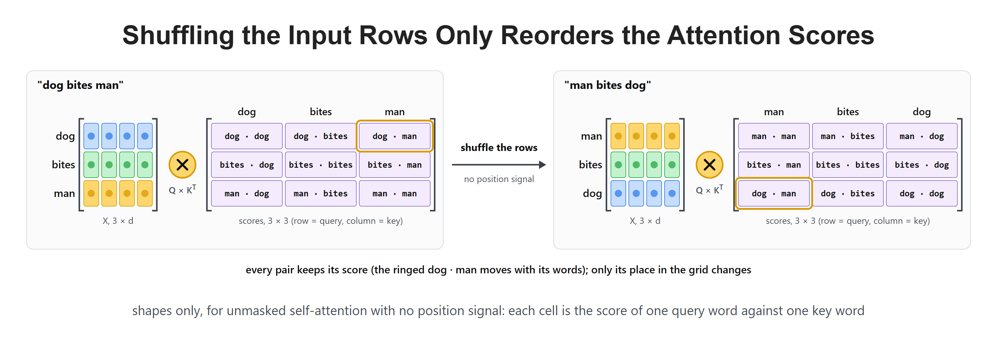 Shuffling the Input Rows Only Reorders the Attention Scores