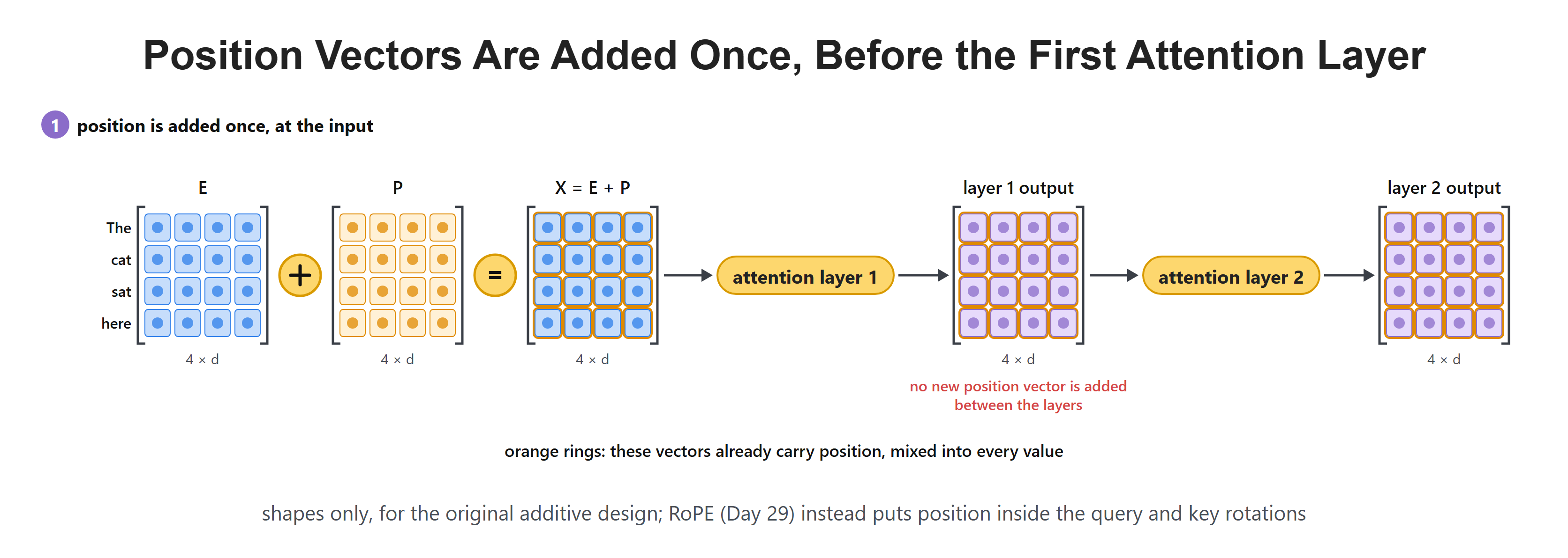Position Vectors Are Added Once, Before the First Attention Layer