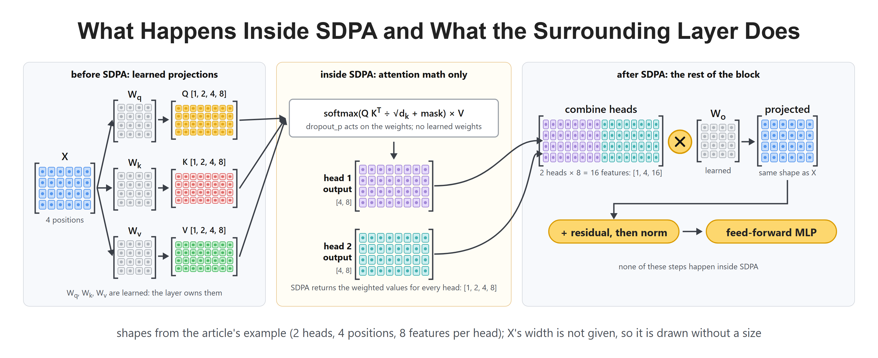 What Happens Inside SDPA and What the Surrounding Layer Does