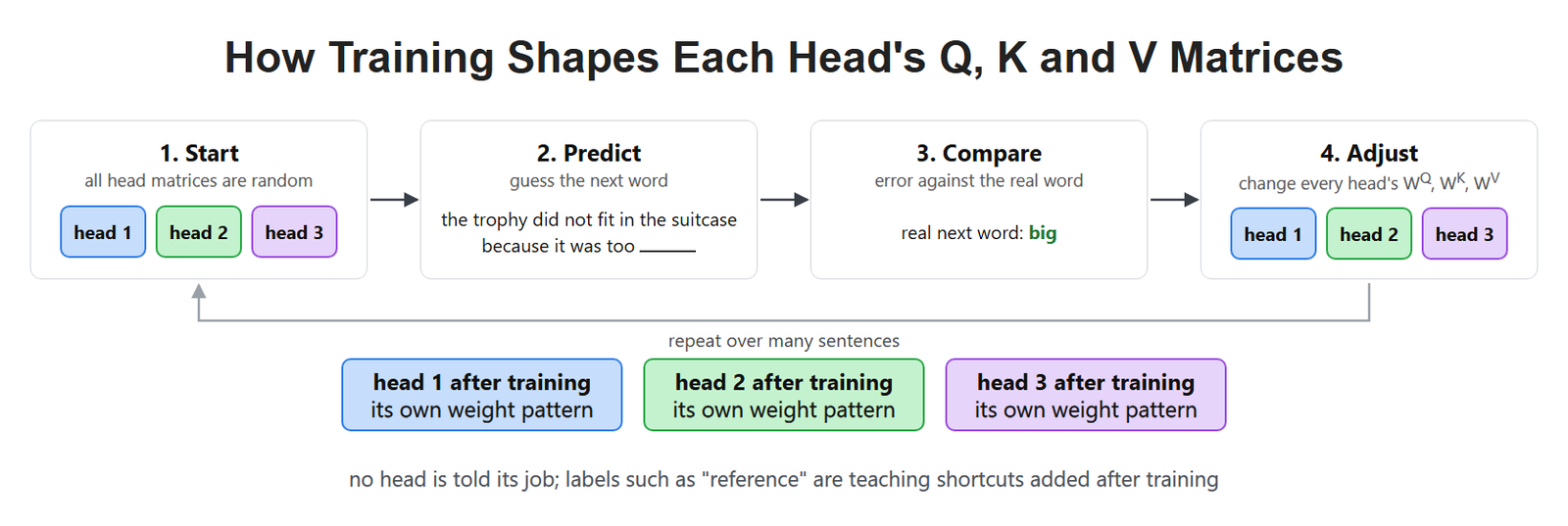 How Training Shapes Each Head's Q, K and V Matrices