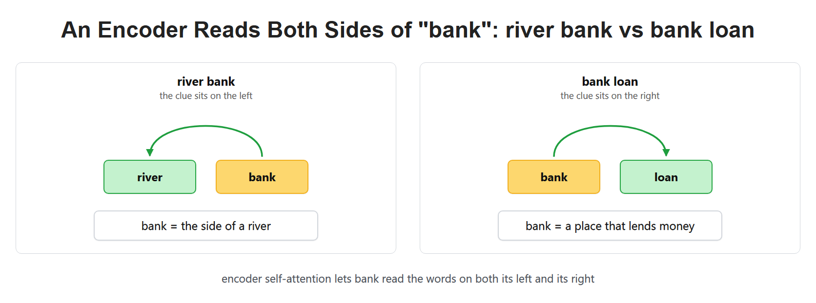 An Encoder Reads Both Sides of "bank": river bank vs bank loan