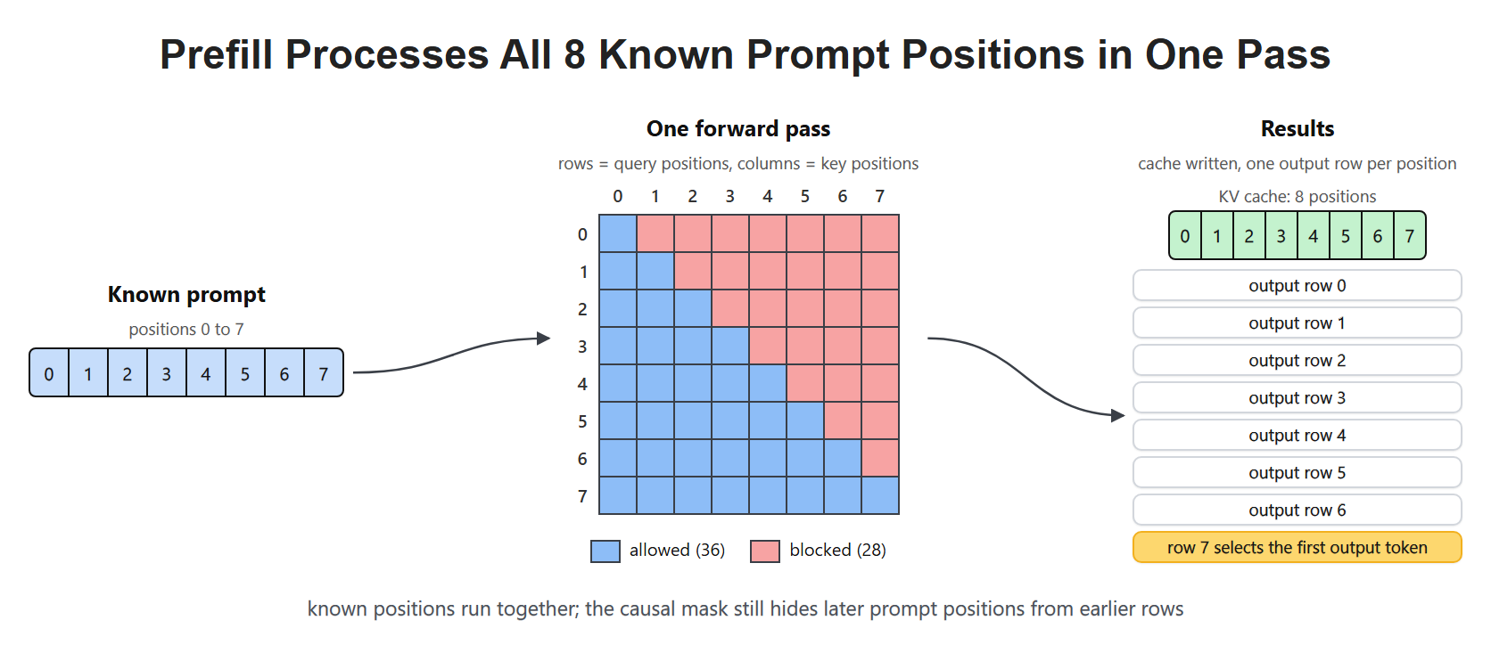 Prefill Processes All 8 Known Prompt Positions in One Pass