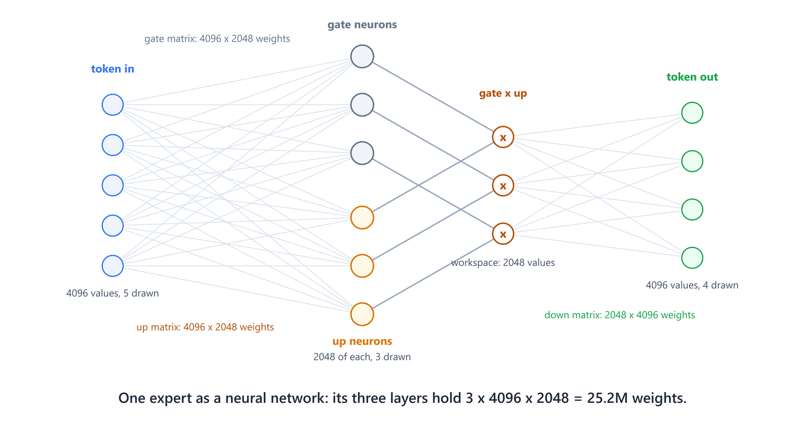 One DeepSeek expert drawn as a neural network, with 4096 token values feeding parallel gate and up neuron layers of 2048 each, their outputs multiplying pairwise, and a down layer returning 4096 values