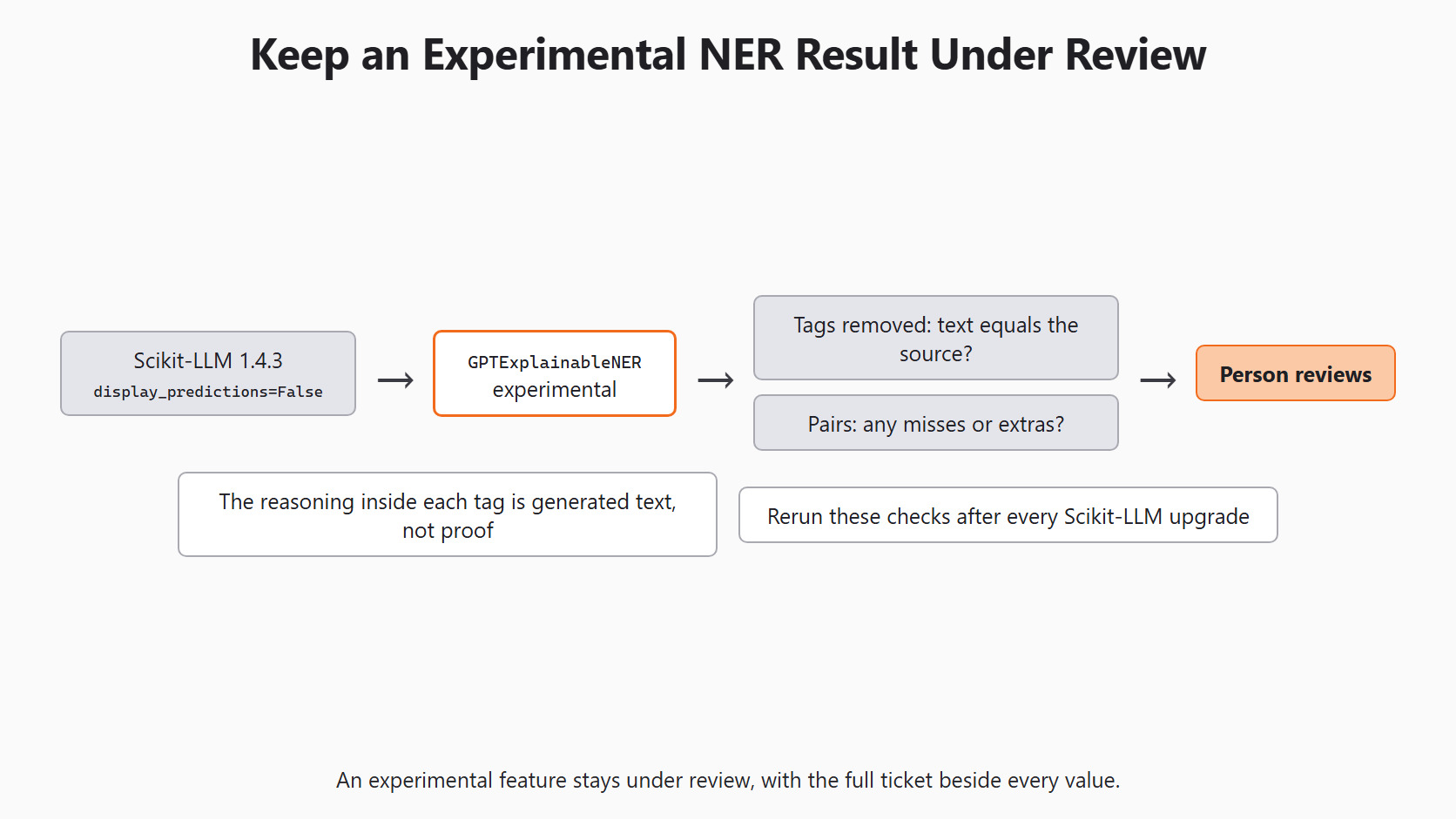 Keep NER Experimental for the Day 12 support-ticket example