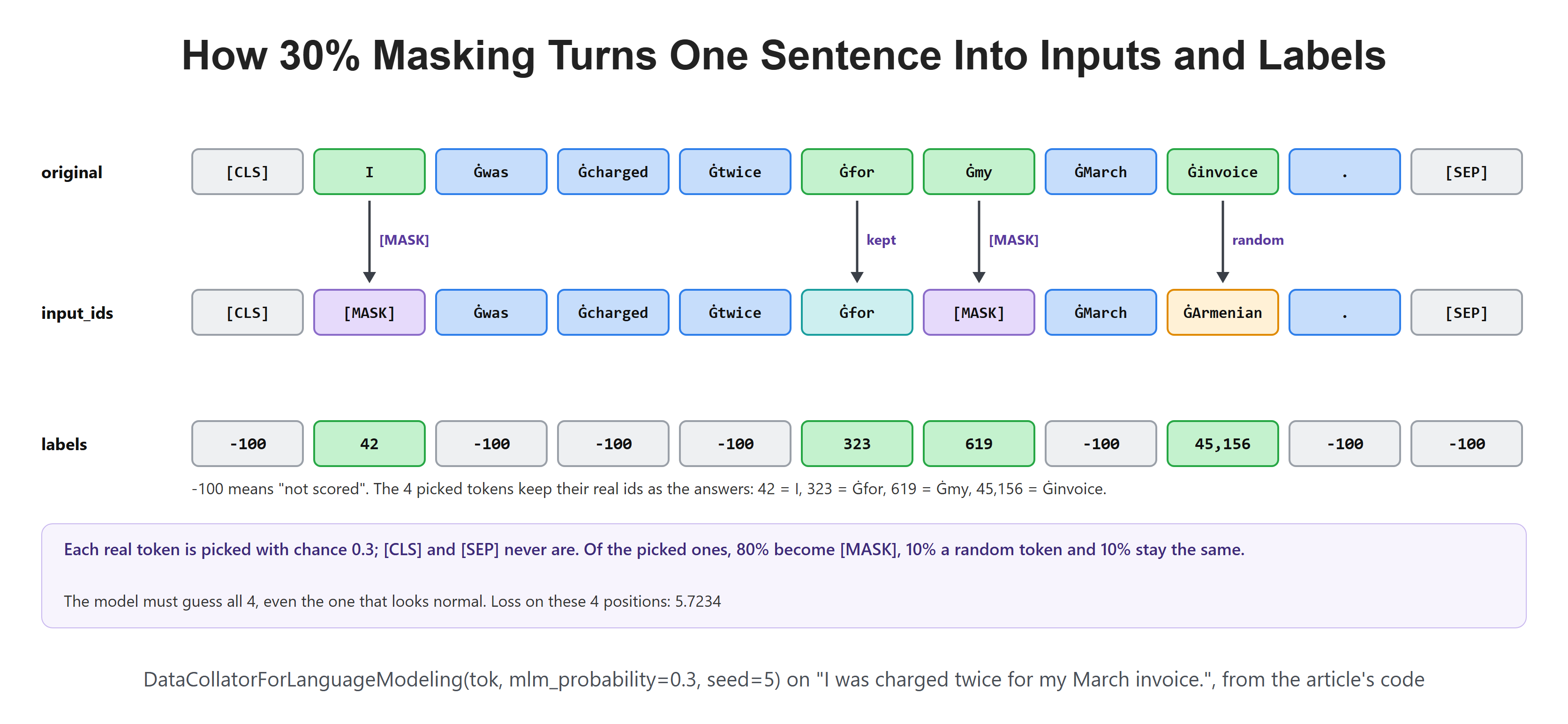 How 30% Masking Turns One Sentence Into Inputs and Labels