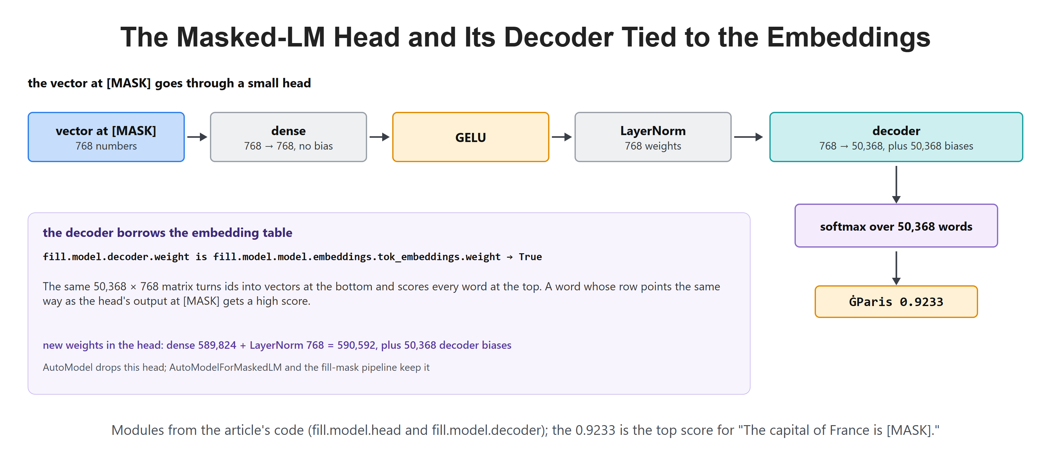 The Masked-LM Head and Its Decoder Tied to the Embeddings