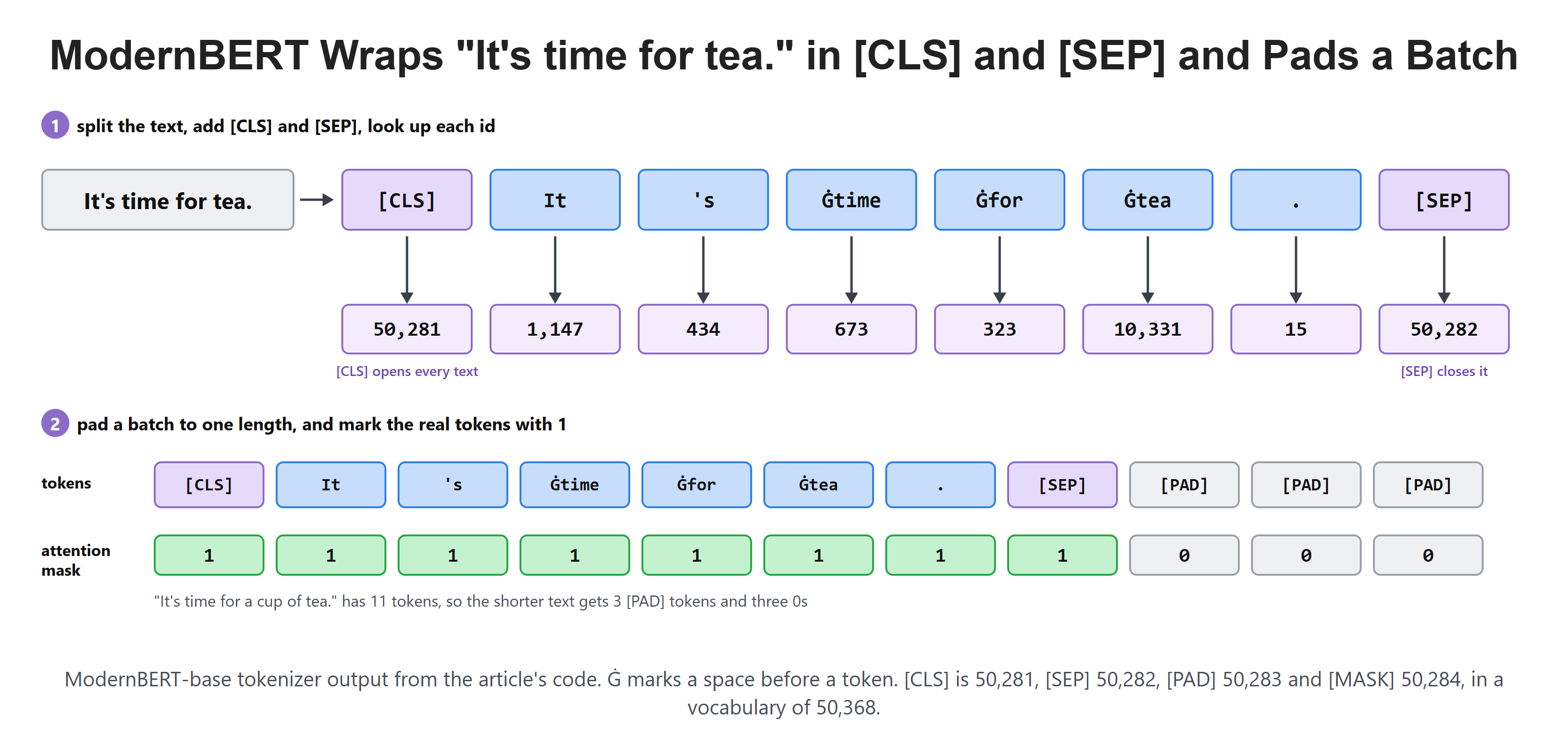 ModernBERT Wraps "It's time for tea." in [CLS] and [SEP] and Pads a Batch