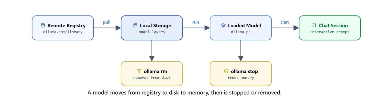 Ollama model lifecycle showing models moving between the remote registry, local disk, memory, copied variants, and deletion