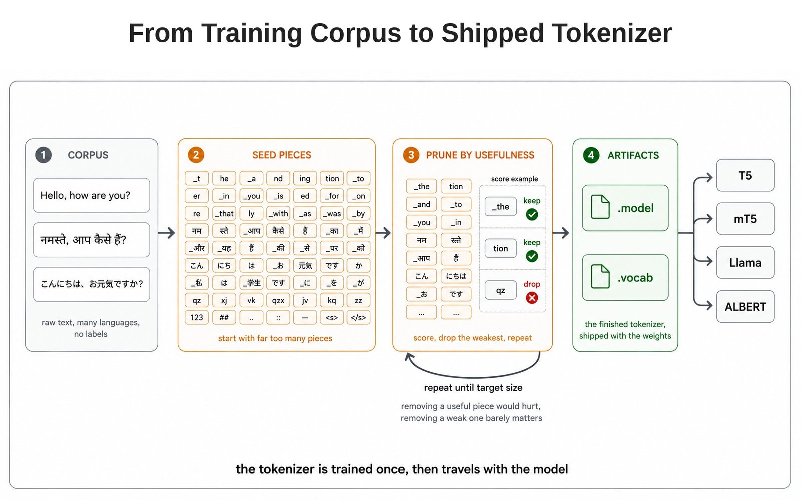 From Training Corpus to Shipped Tokenizer