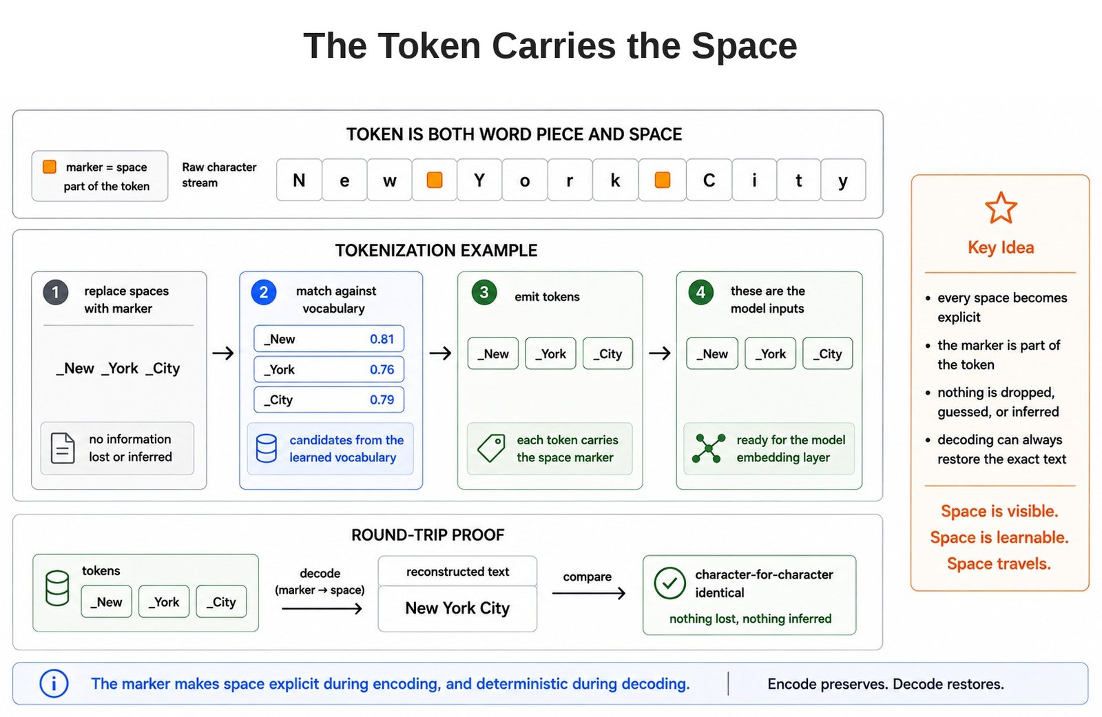 The Token Carries the Space