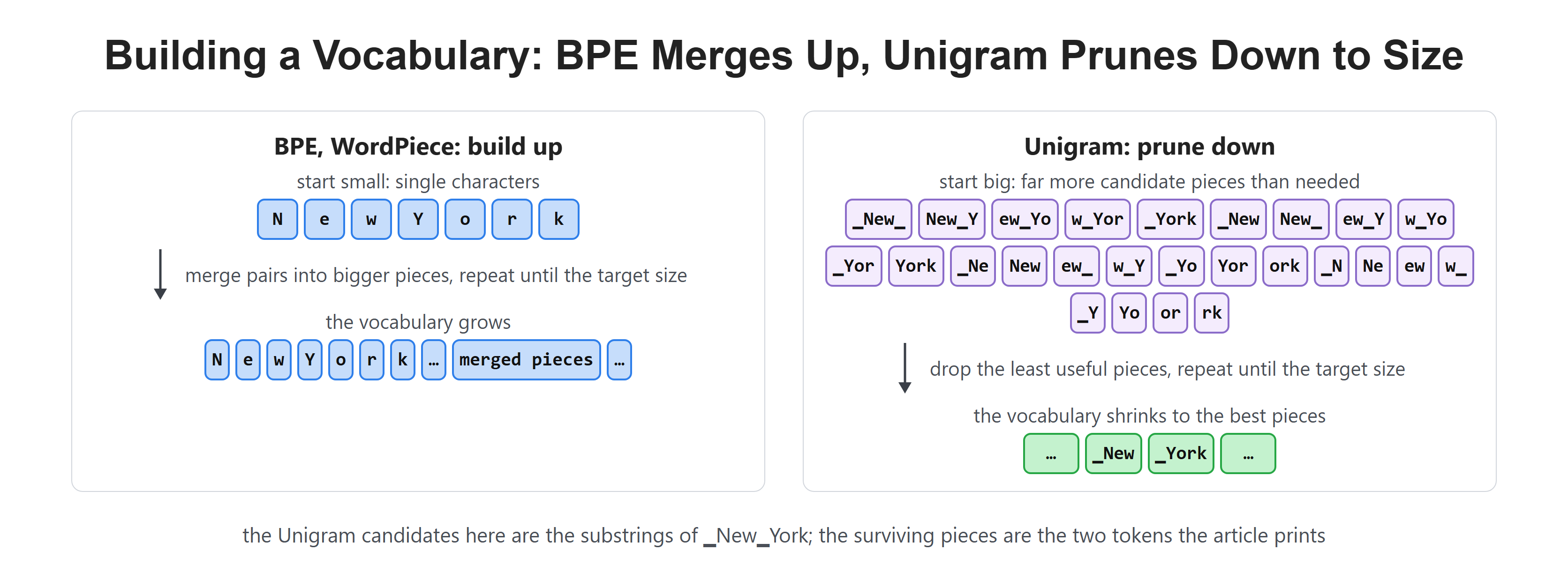 Building a Vocabulary: BPE Merges Up, Unigram Prunes Down to Size