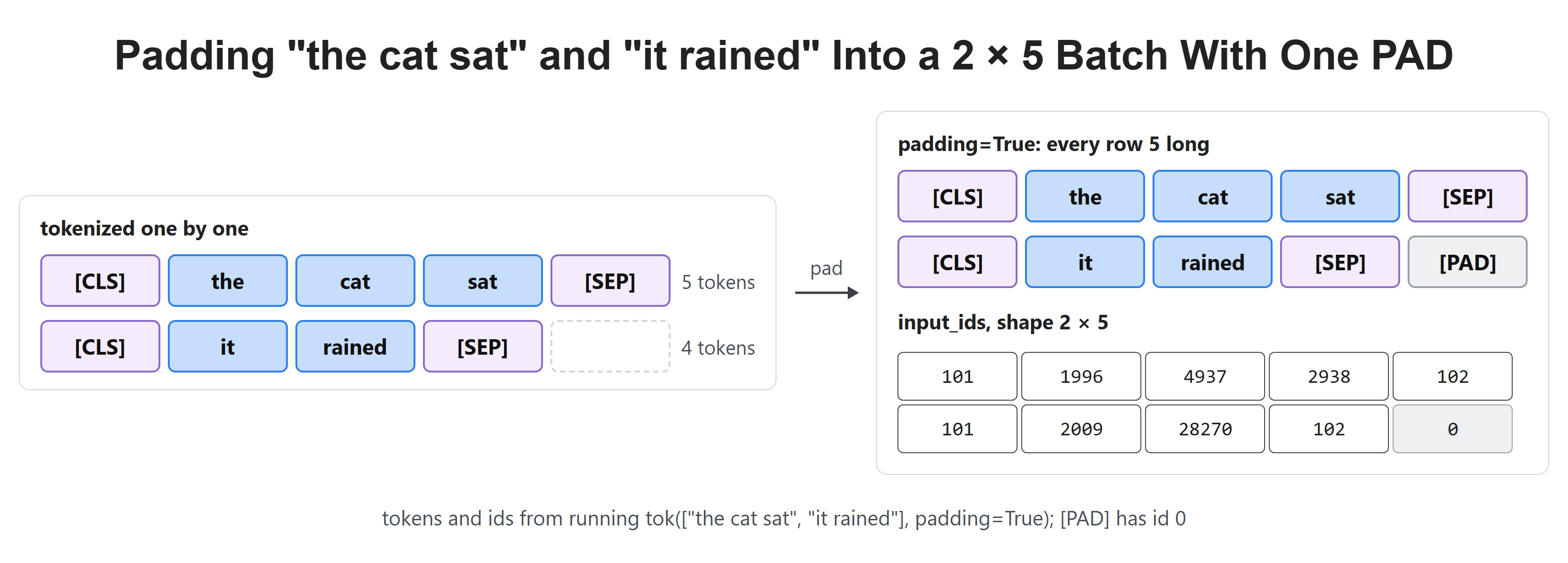 Padding "the cat sat" and "it rained" Into a 2 × 5 Batch With One PAD