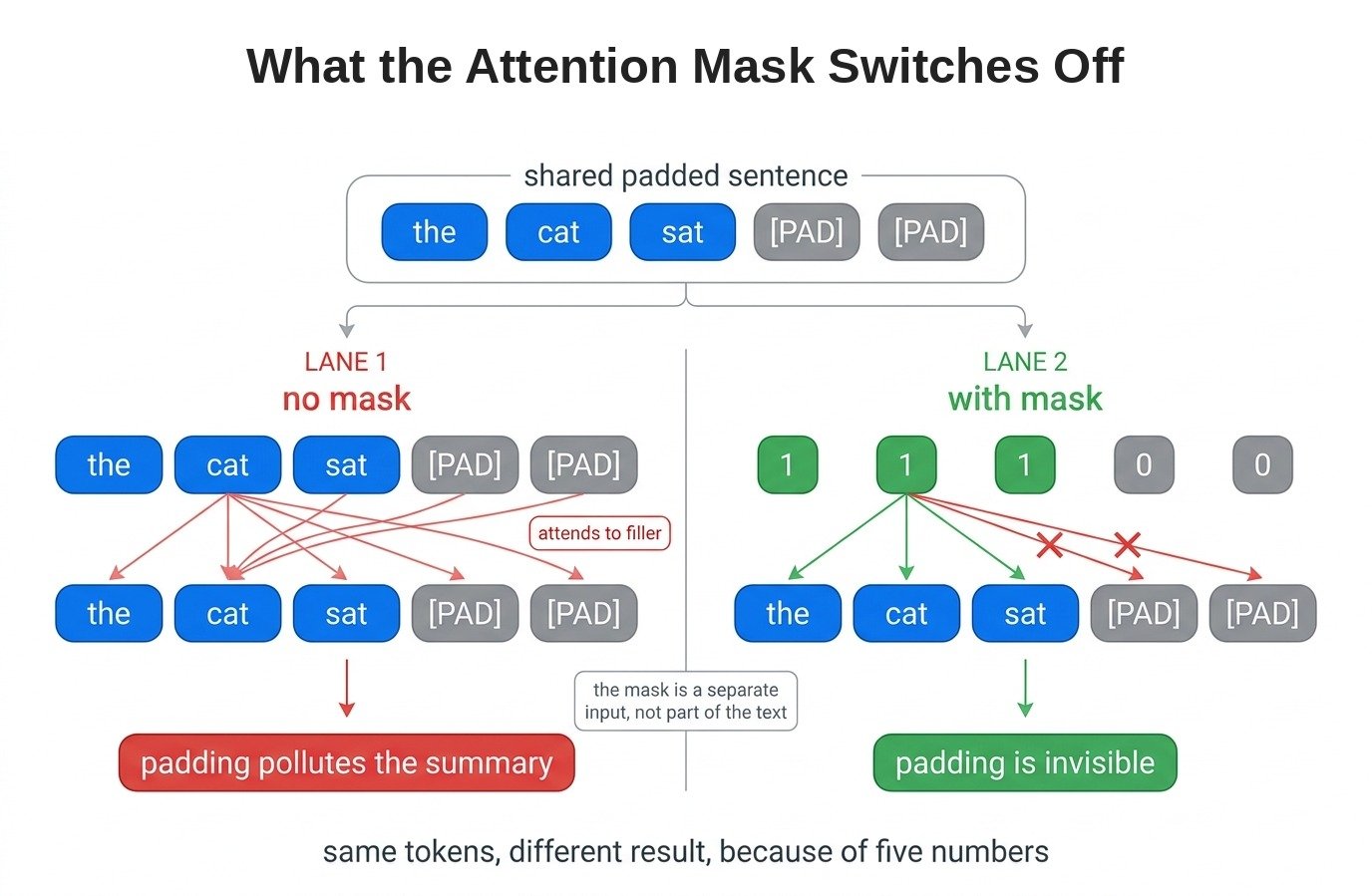 What the Attention Mask Switches Off