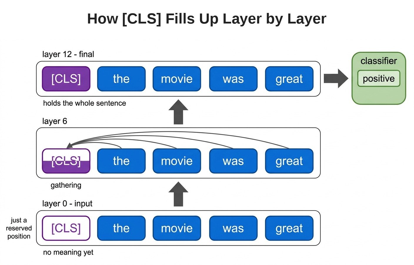 How [CLS] Fills Up Layer by Layer