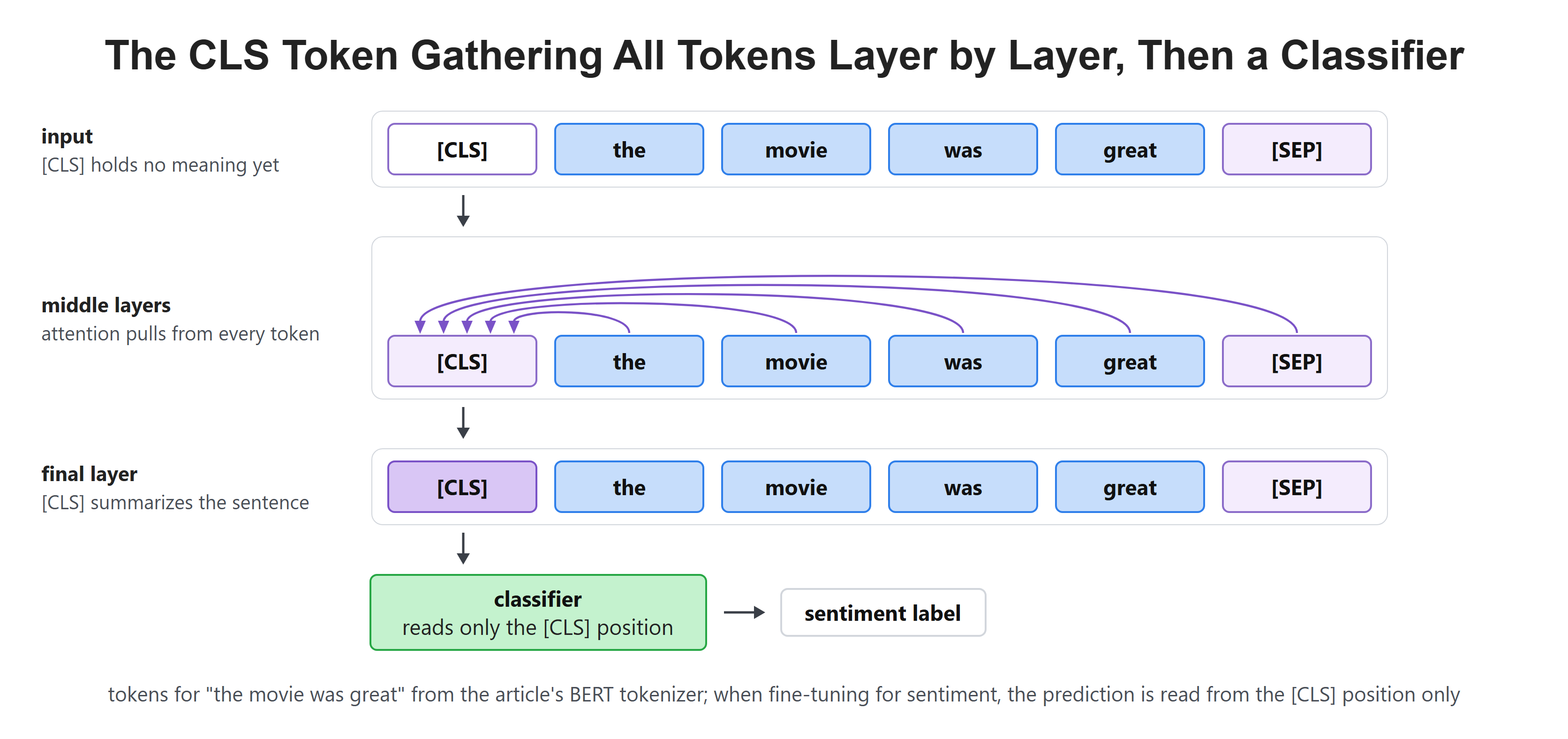 The CLS Token Gathering All Tokens Layer by Layer, Then a Classifier