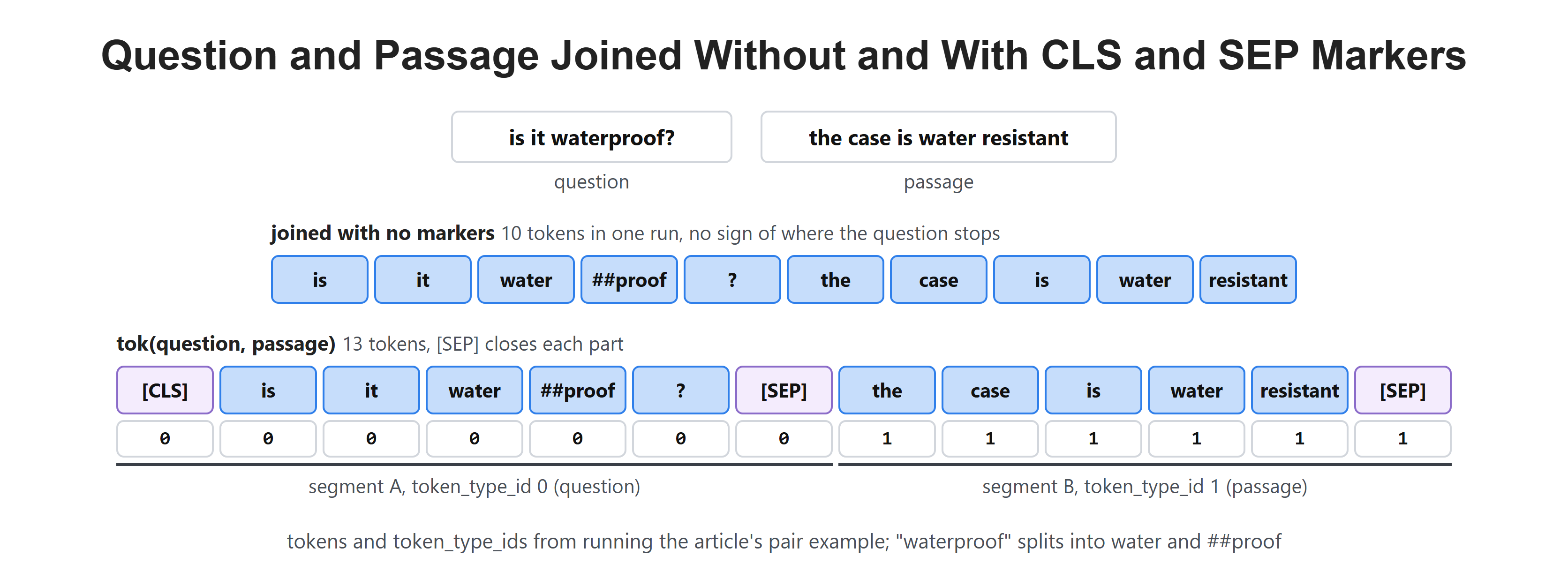 Question and Passage Joined Without and With CLS and SEP Markers