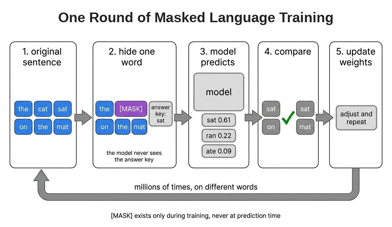 One Round of Masked Language Training