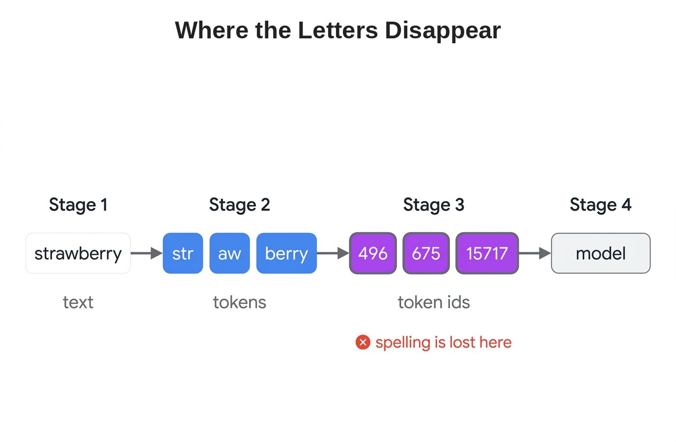 Where the Letters Disappear