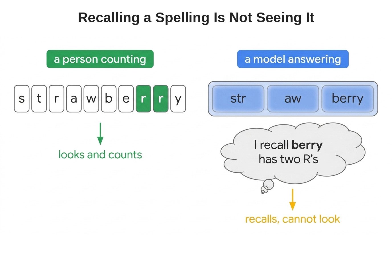 Recalling a Spelling Is Not Seeing It