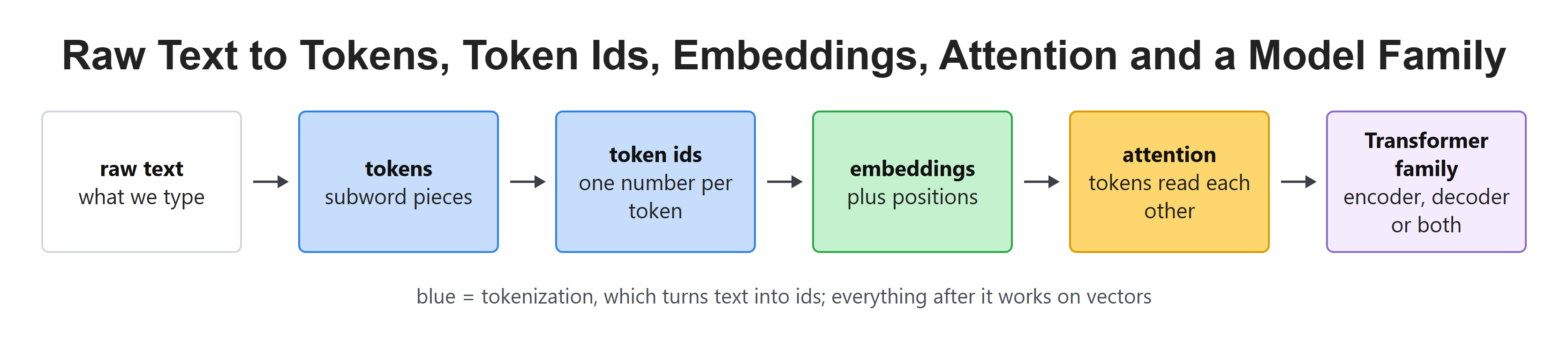 Raw Text to Tokens, Token Ids, Embeddings, Attention and a Model Family