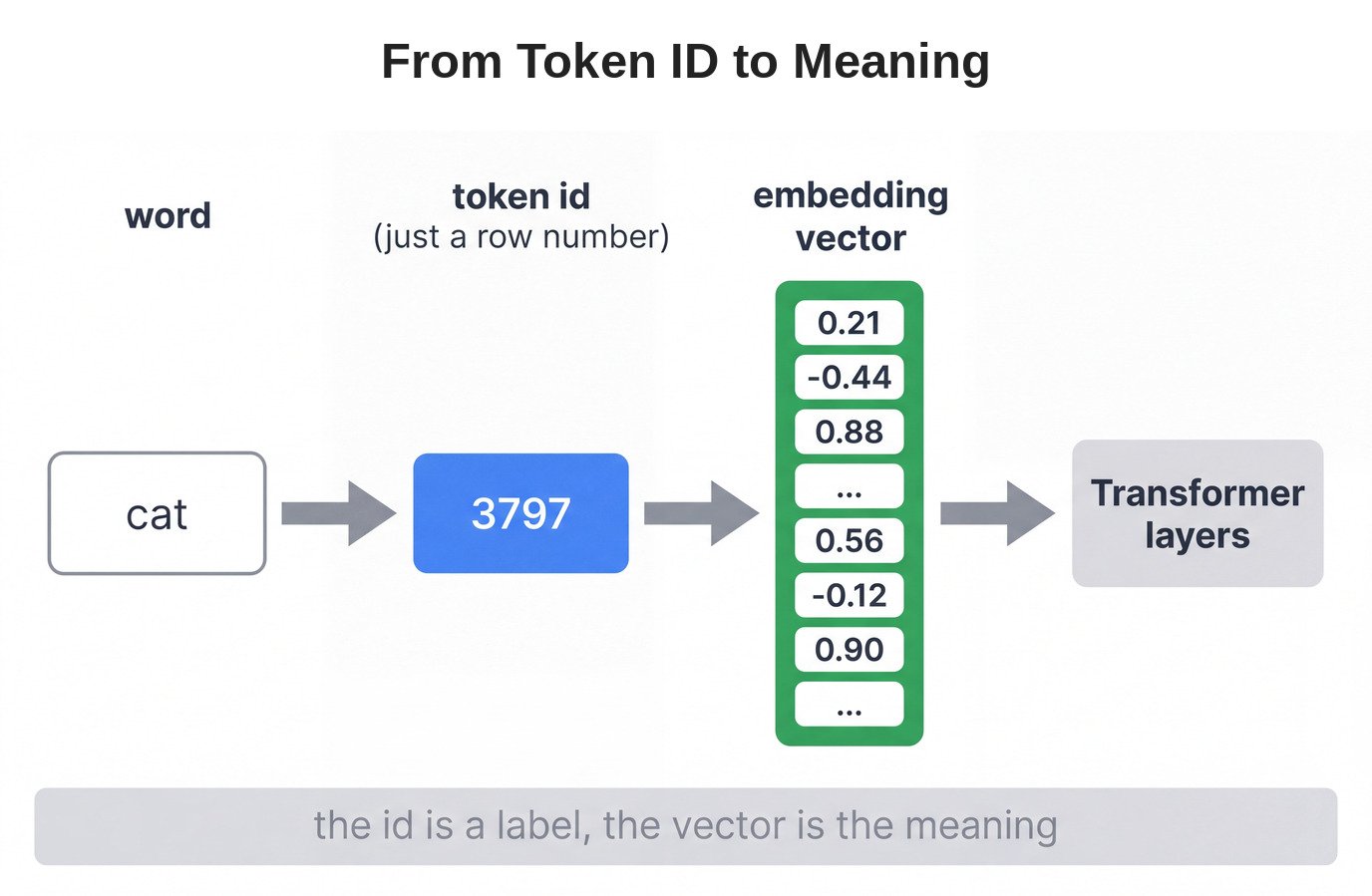 From Token ID to Meaning